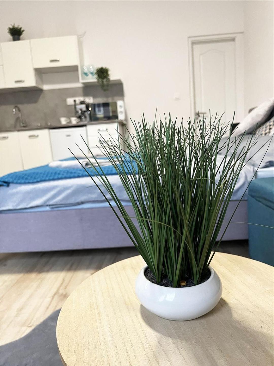 Bereg Szive Apartman Вашарошномийнь Екстер'єр фото